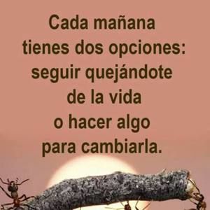 Meet your Posher, Adelfa